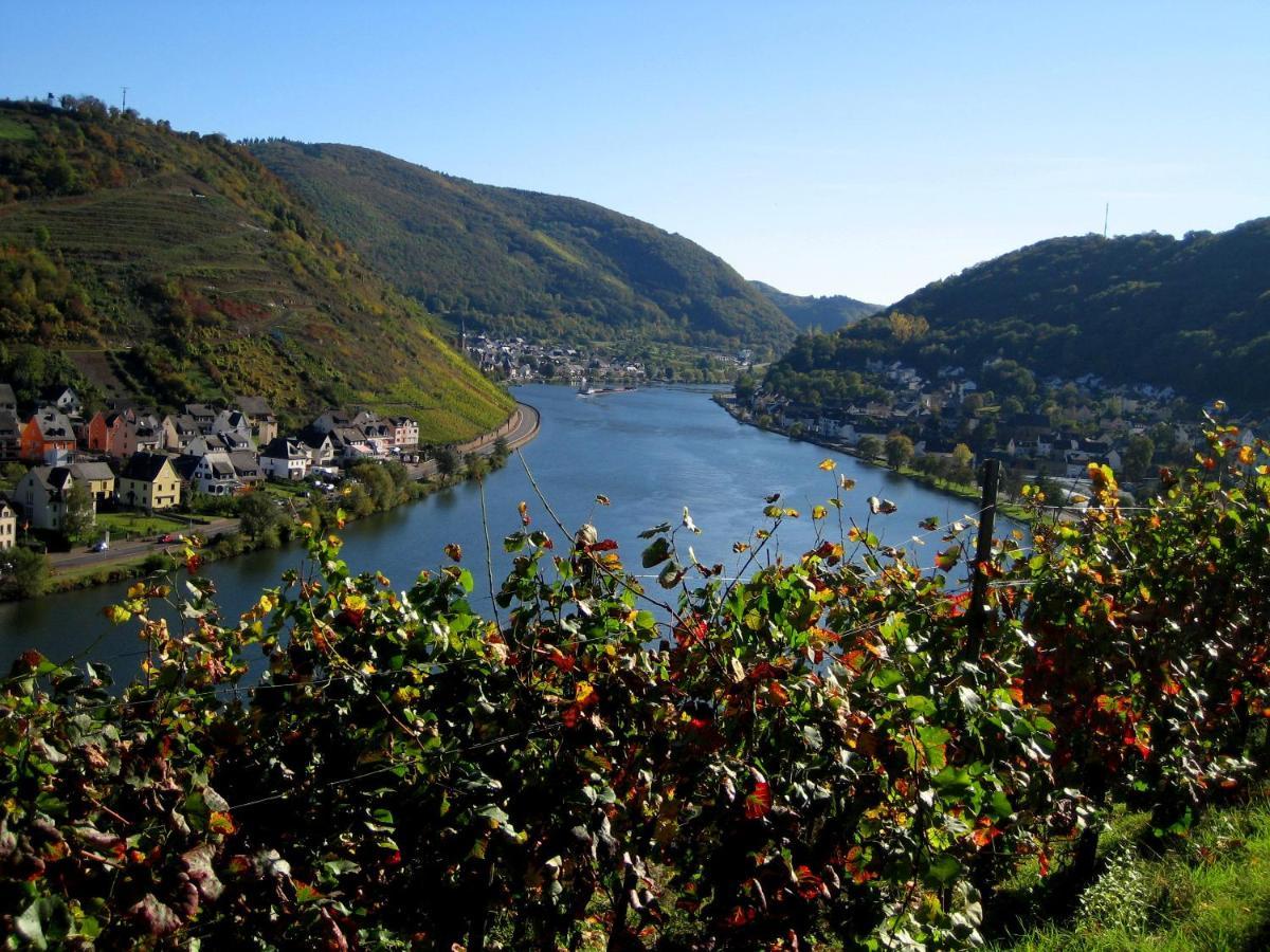 Kattenesser Moselblick Lägenhet Exteriör bild
